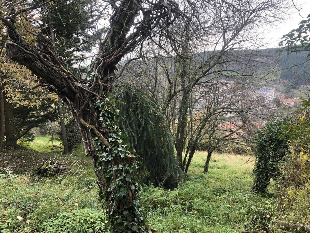 Photo 1 - Terrain à THIZY