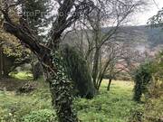 Photo 1 - Terrain à THIZY