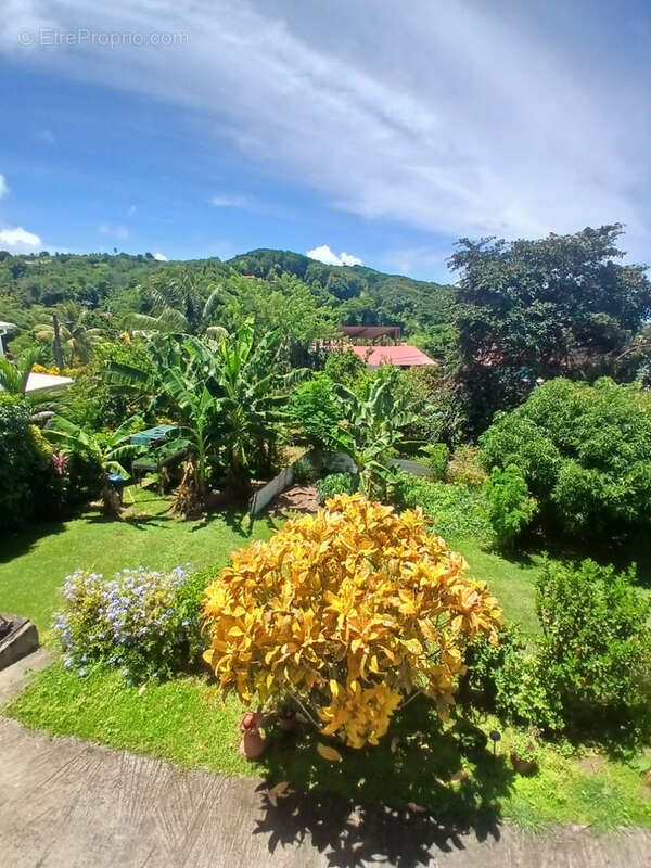 Maison à SAINTE-MARIE