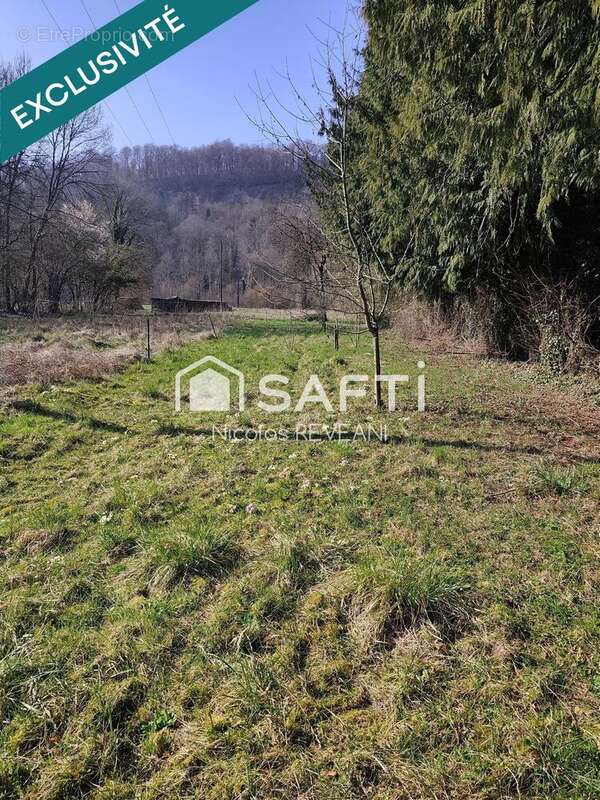 Photo 5 - Terrain à TRONVILLE-EN-BARROIS