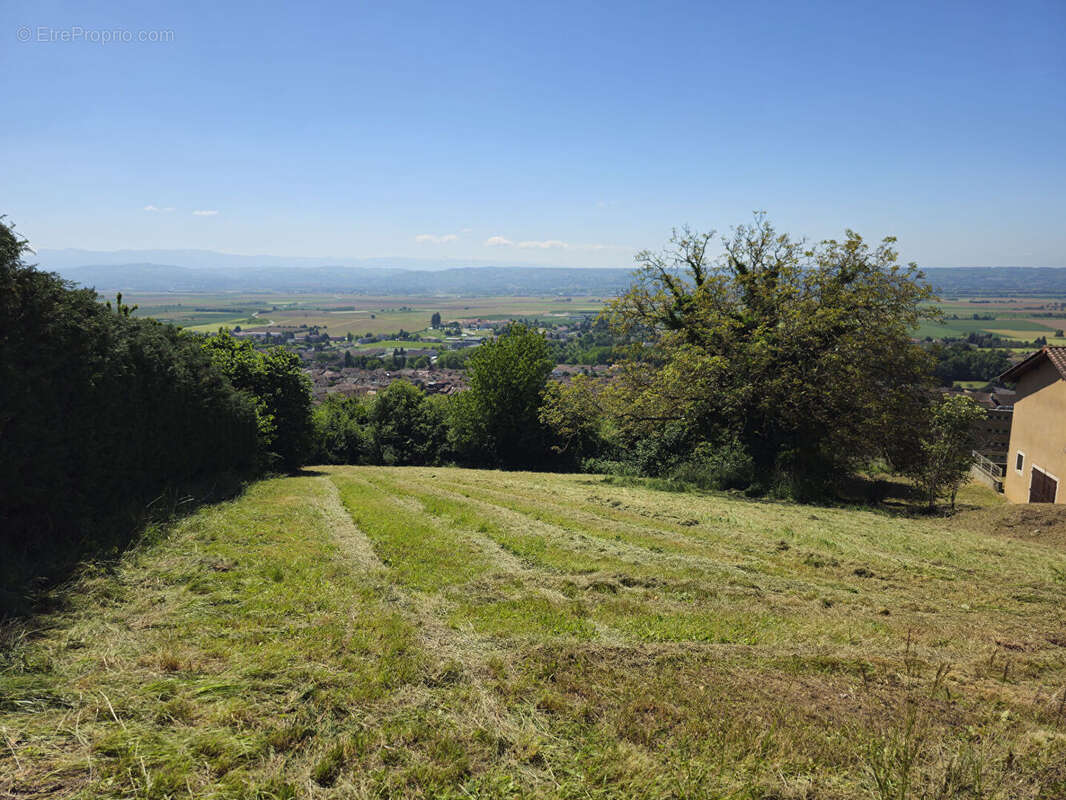 Terrain La Cote Saint Andre 1180 m2 - photo 3