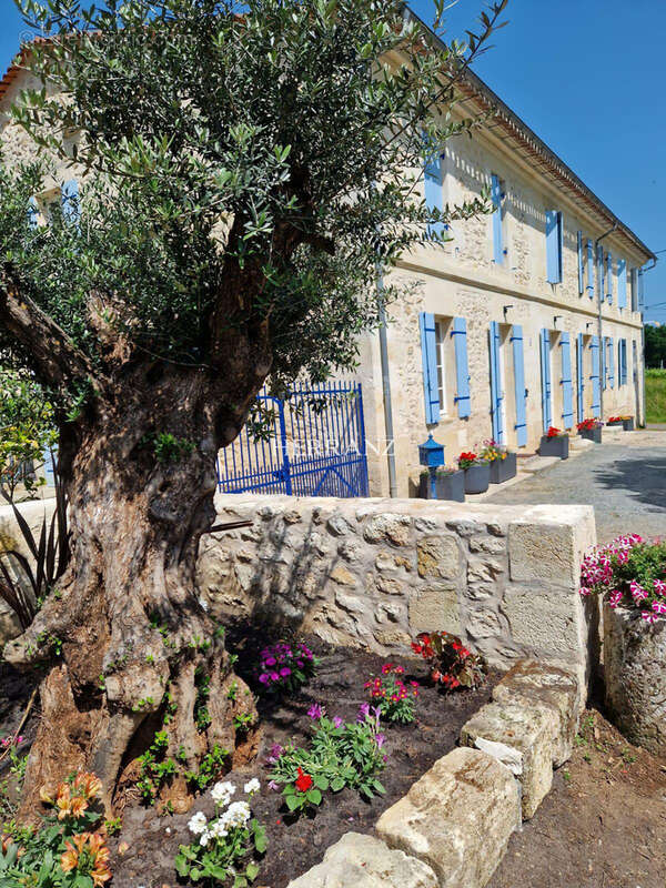 Superbe longère en pierre - batisse familiale ou projet de gîte - piscine et dépendances - photo 3