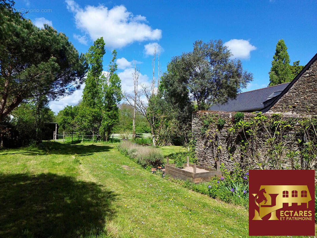 Maison à NORT-SUR-ERDRE