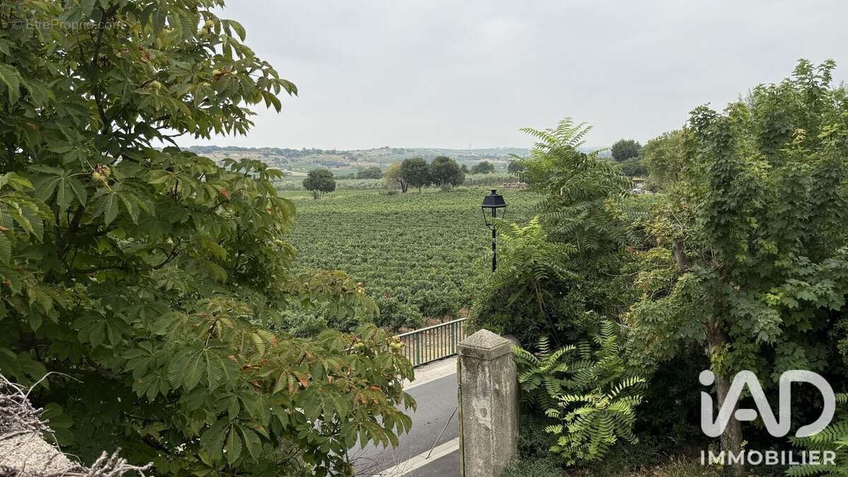 Maison 73 m² à Lieuran-Cabrieres  - photo 5