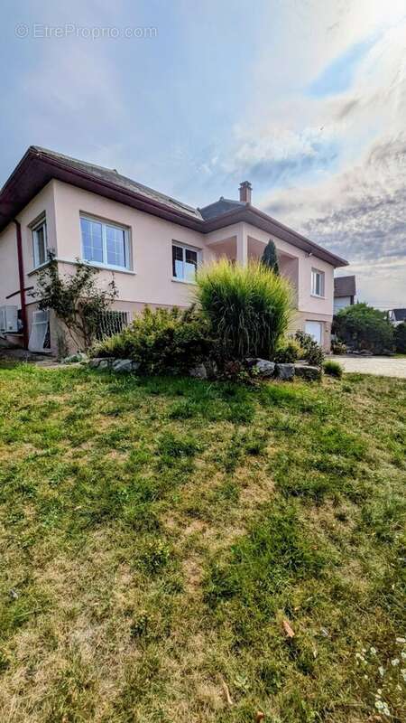 Maison à ZILLISHEIM