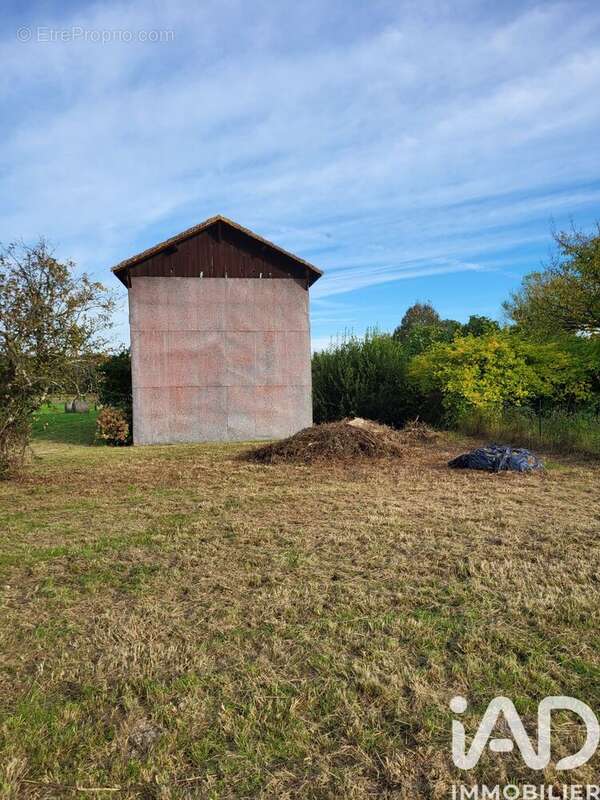Photo 3 - Maison à BAZAS