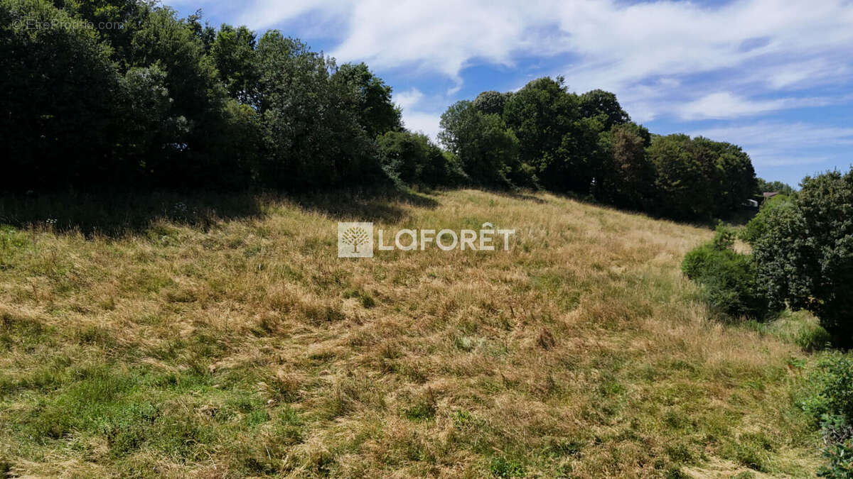 Terrain à vendre Chatillon Sur Chalaronne 11049 m2 - photo 4
