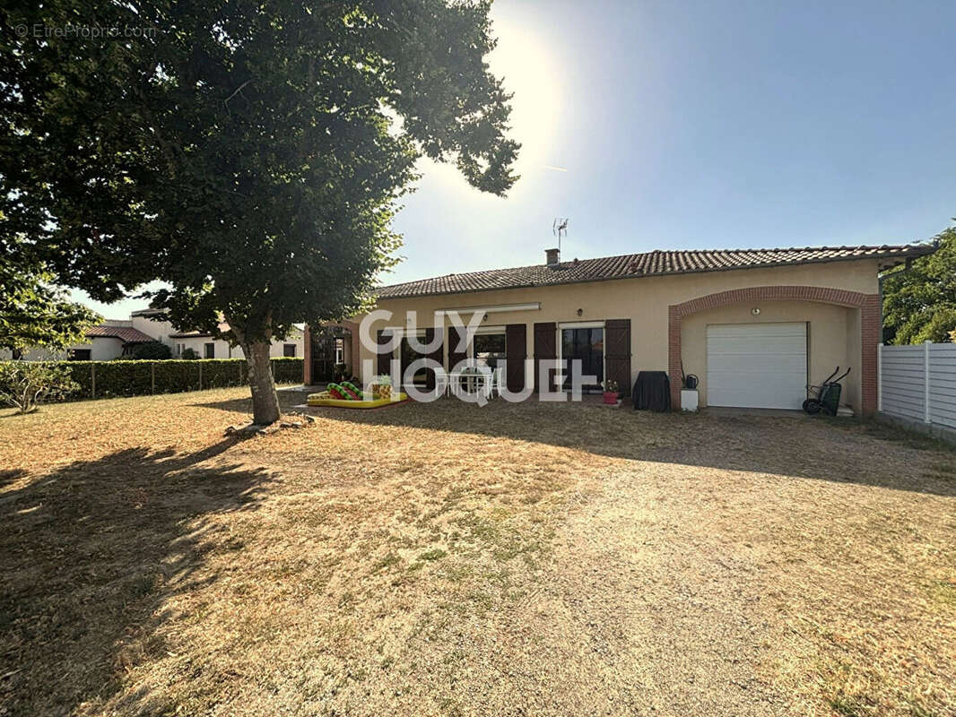 La salvetat saint gilles - photo 14