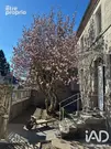 Photo 1 - Maison à PEYRELEVADE