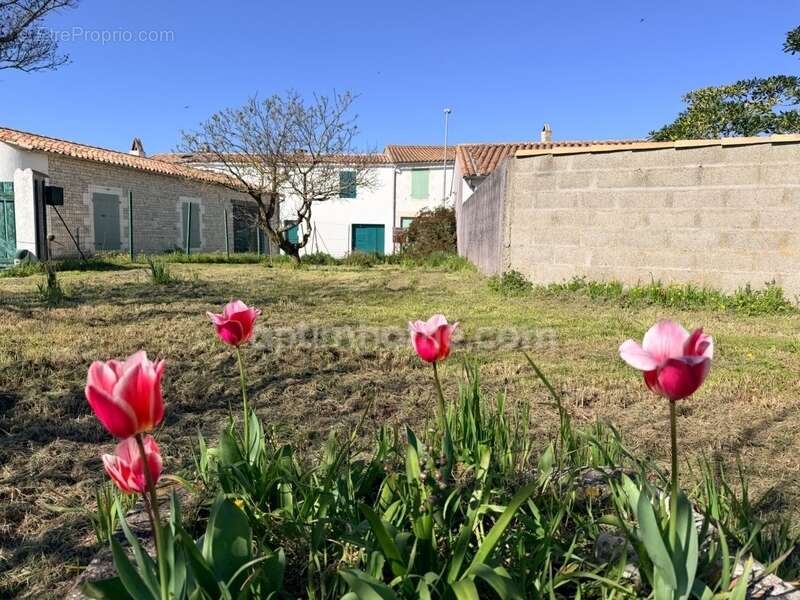 Maison à LE BOIS-PLAGE-EN-RE