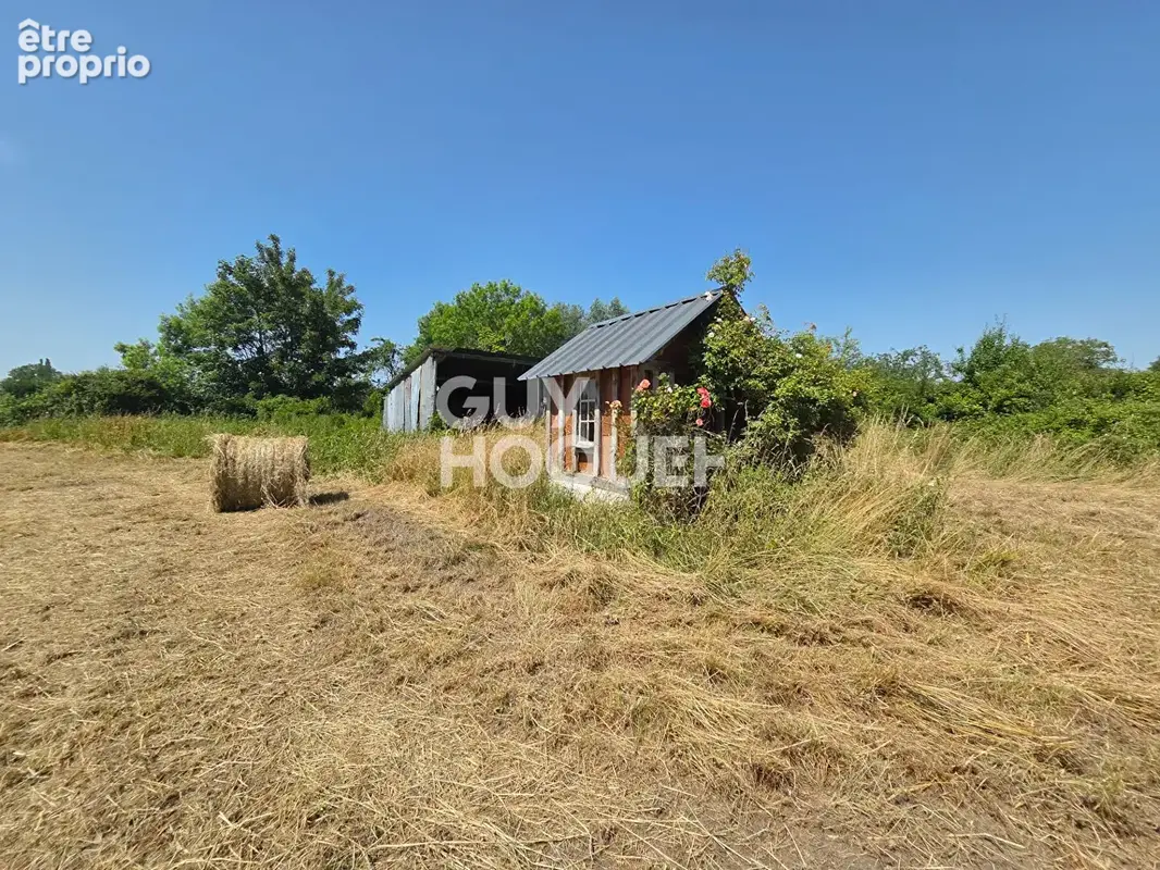 Terrain Heurteauville 7560 m2 - photo 6