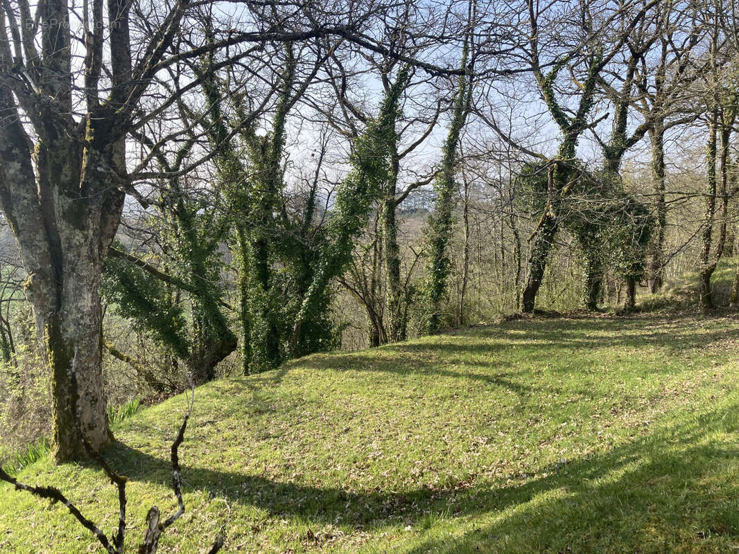 Maison à MONTAGRIER