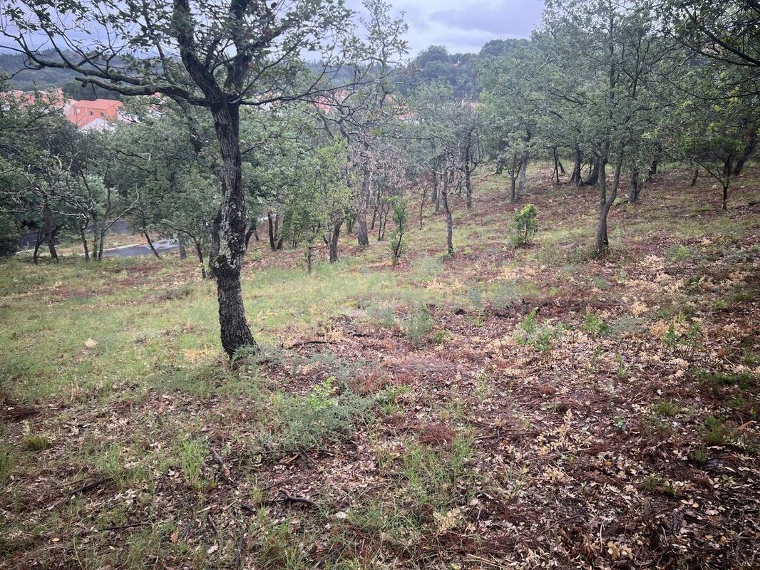 Terrain à MONTESQUIEU-DES-ALBERES