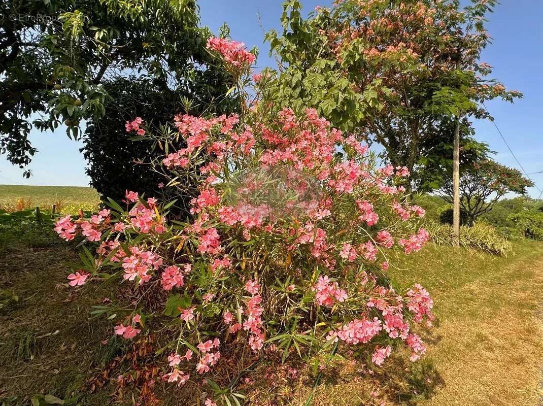 Maison à SAINTE-DODE