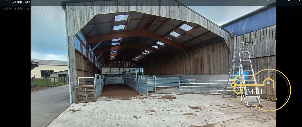 Commerce à CHAMP-HAUT