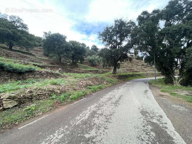 Terrain à BASTIA