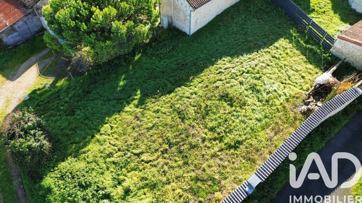 Photo 1 - Terrain à THURAGEAU