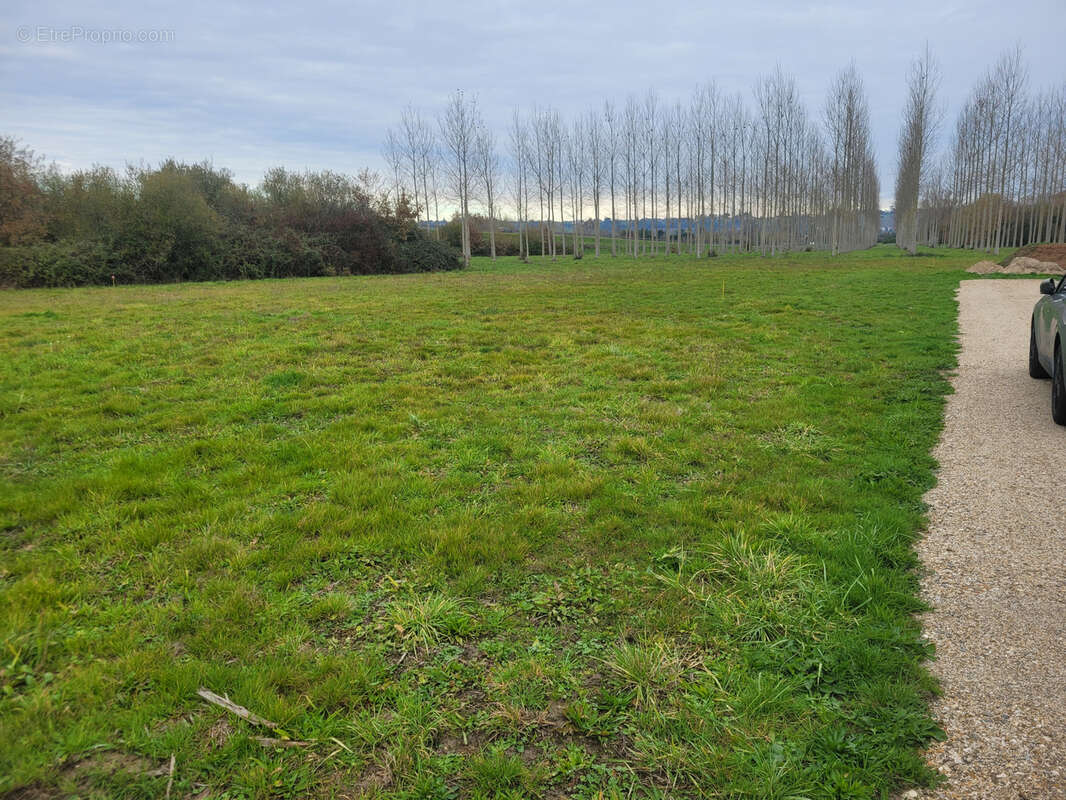 Terrain à BEAUPUY