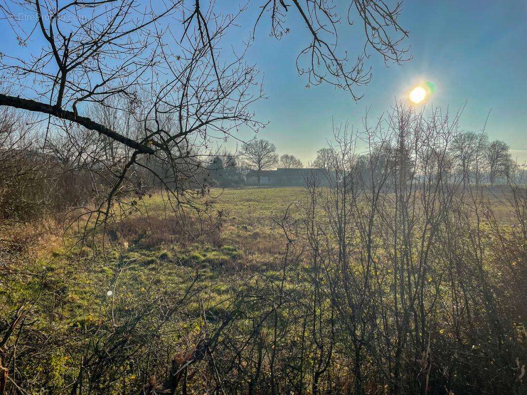 Terrain à CHATRES-SUR-CHER