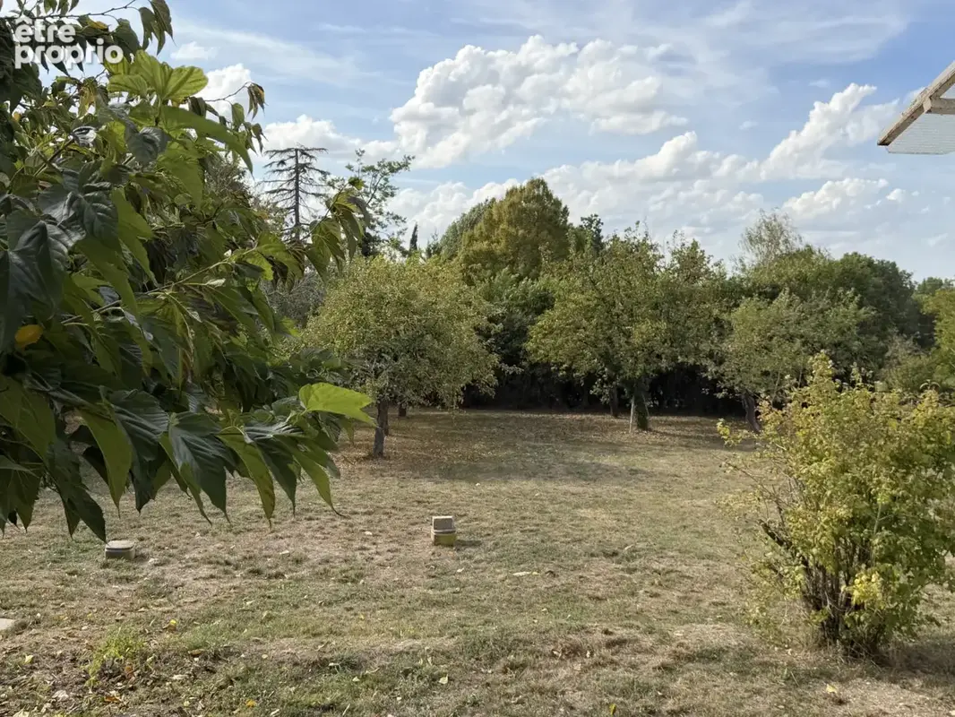 jardin