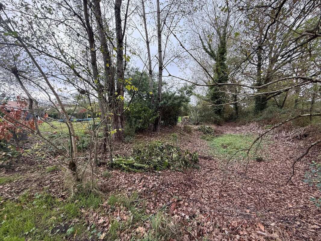 Maison à SAINT-CIERS-SUR-GIRONDE