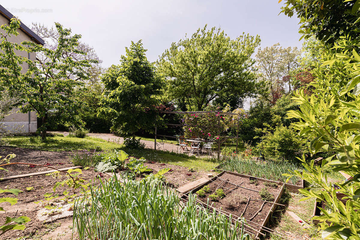 Maison de caractère familiale 6 chambres + bureau avec jardin à Neuville-sur-Saône - photo 6