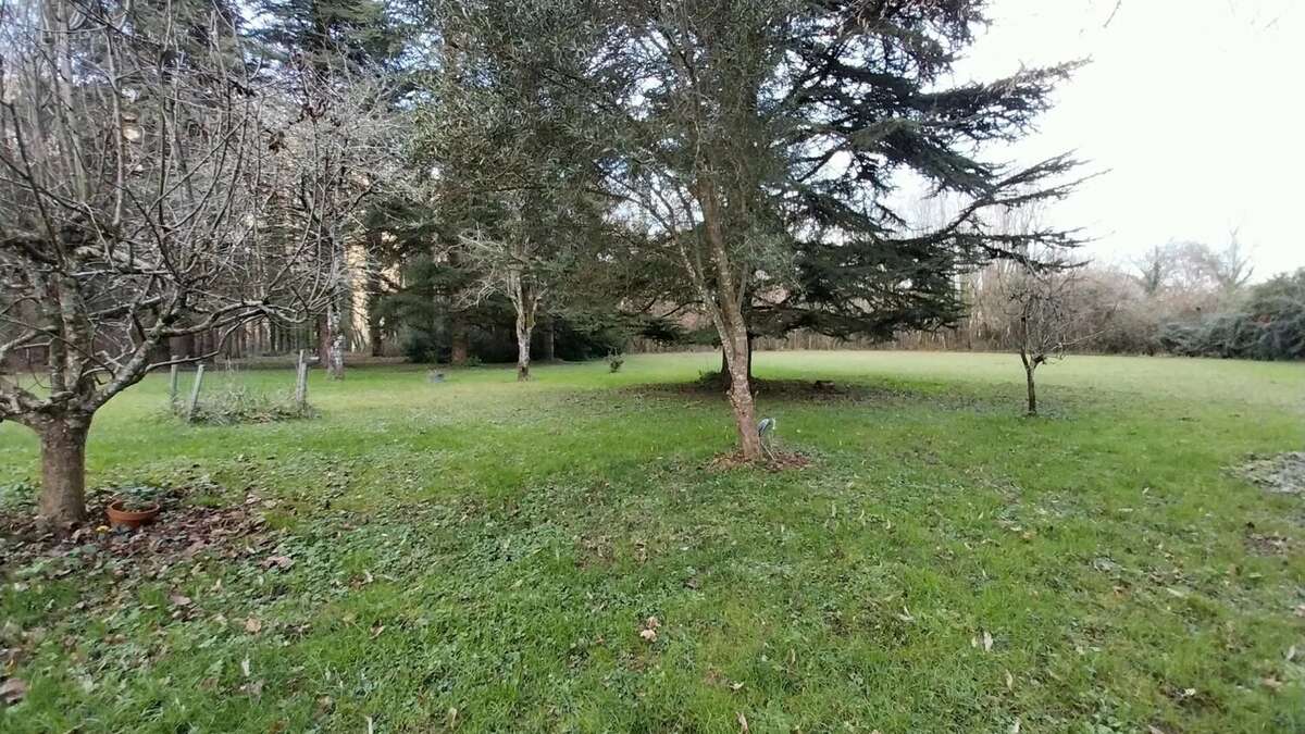 Maison à SAINT-ANTONIN-NOBLE-VAL