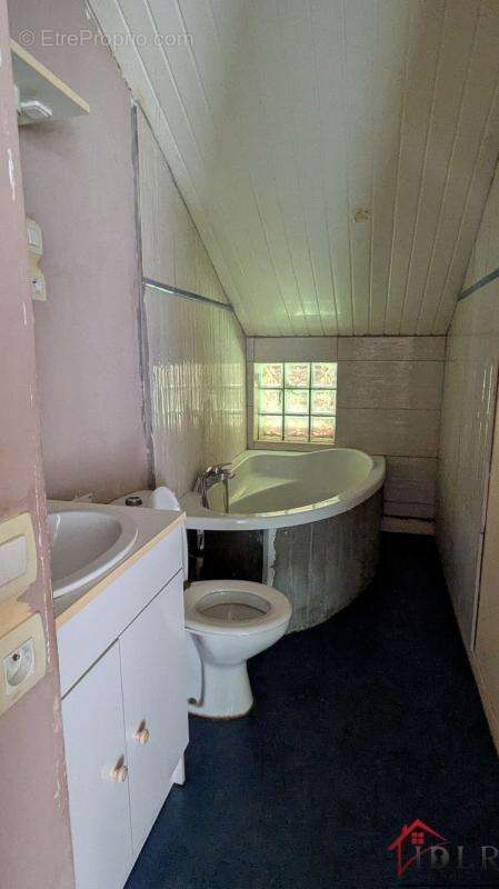 maison à rénover avec 13 000m2 terrain - photo 14
