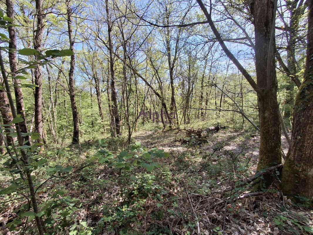 Terrain à BOUILLAC