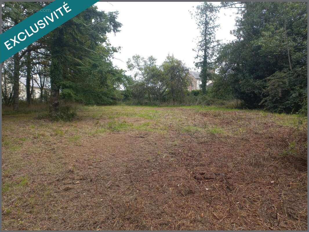 Photo 5 - Terrain à LA GRIGONNAIS