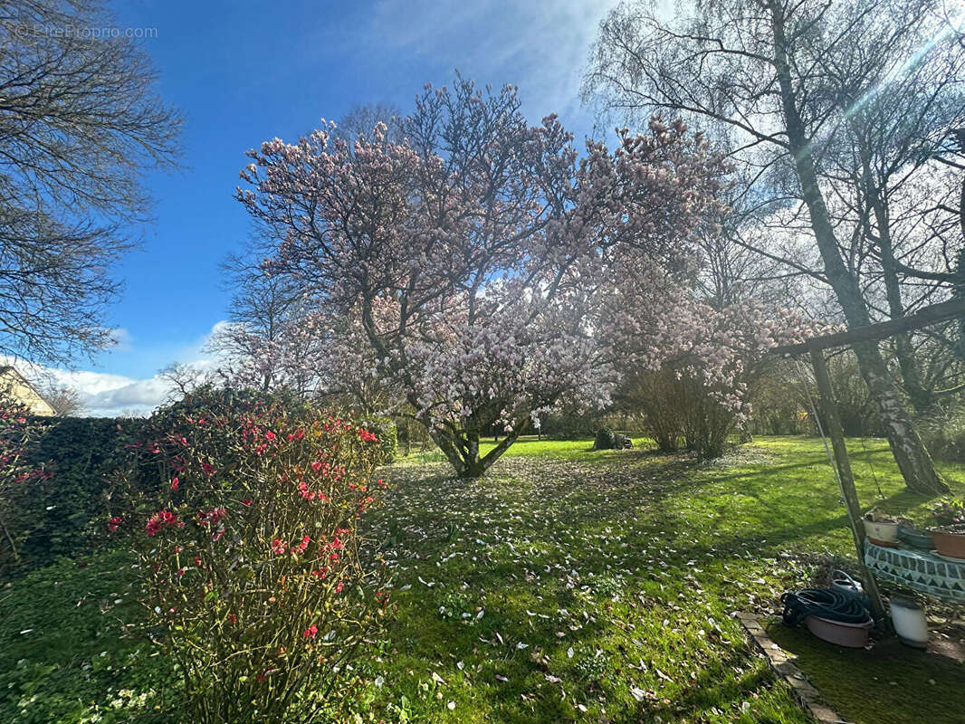 Maison à BRETONCELLES