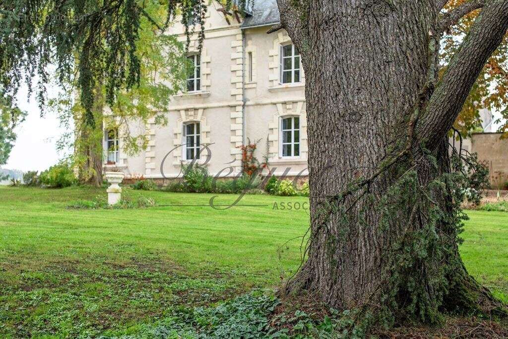 Côteaux-sur-Loire - Touraine - 37130 - 350 M² - 10 pièces - 7 chambres - piscine - parc 6 hectares - photo 16