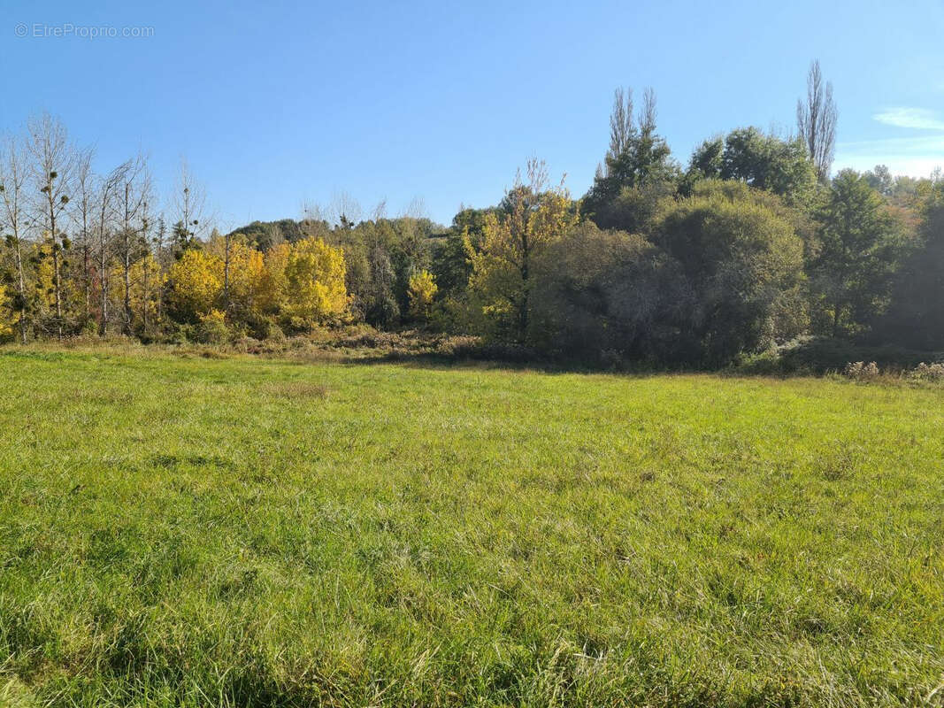 Terrain à VILLAMBLARD