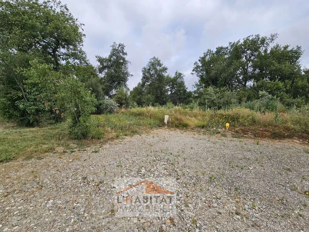 Terrain à SAINT-LYS