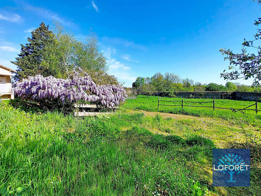 Maison à CHANTONNAY