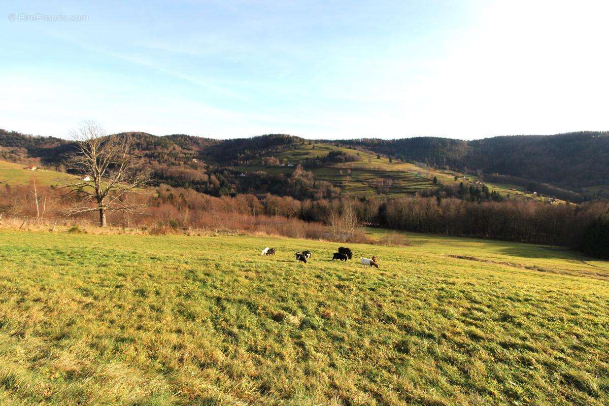 Maison à FRESSE-SUR-MOSELLE