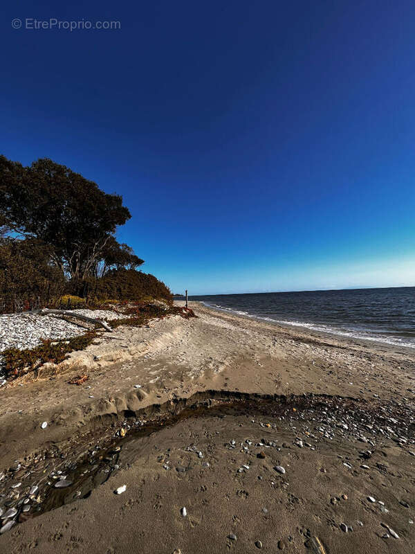 Terrain à POGGIO-MEZZANA