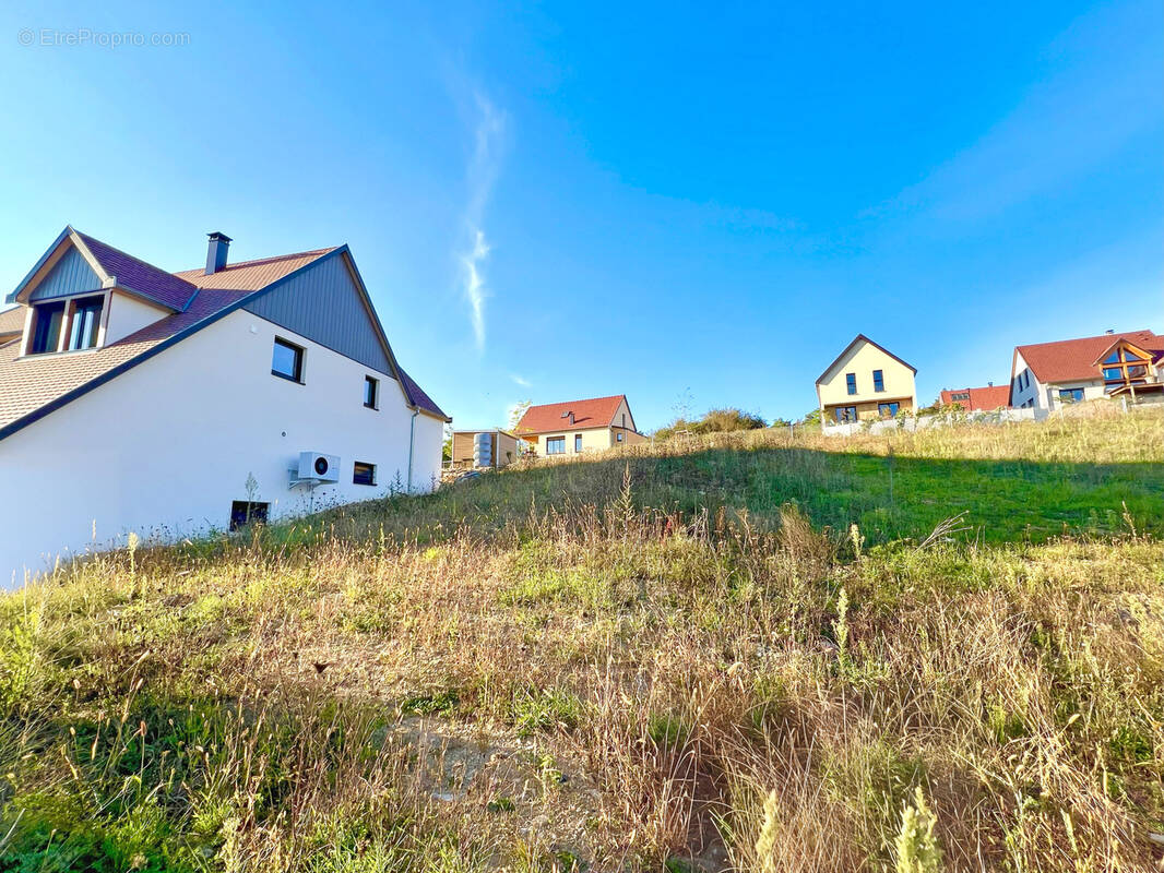Terrain à ROSENWILLER
