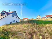 Terrain à ROSENWILLER