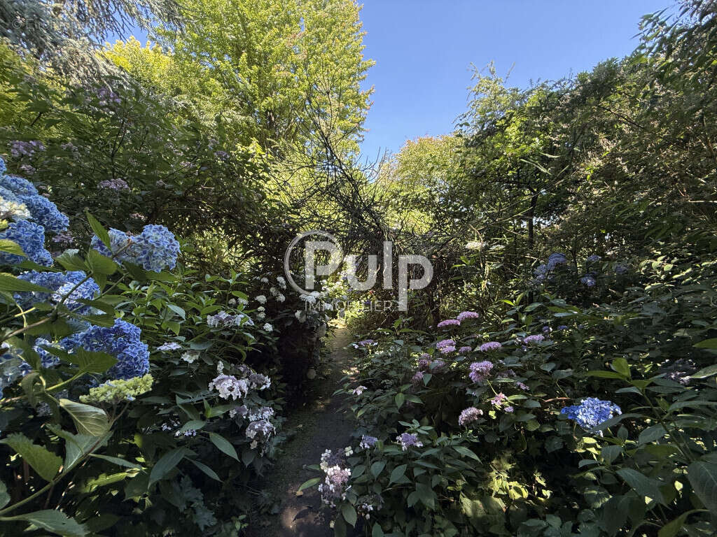 Une parenthèse bucolique à 8 km d'Hesdin-la-Forêt - photo 32