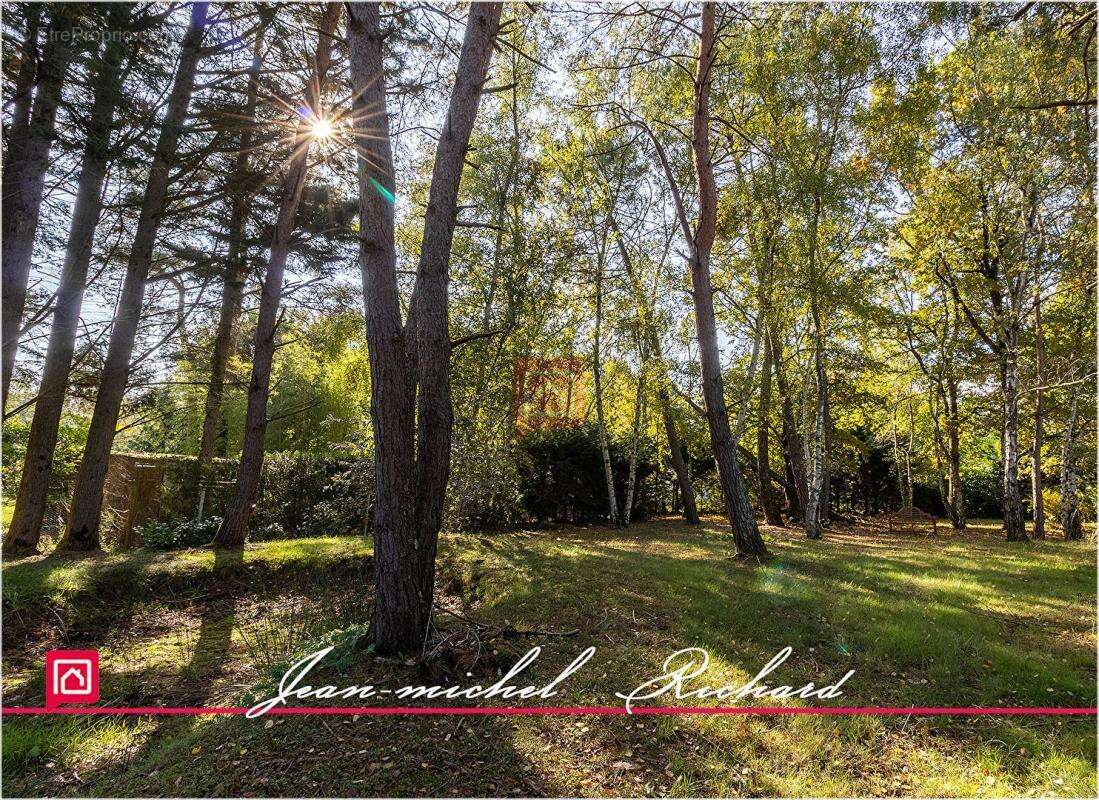 Maison à CHATILLON-SUR-CHER