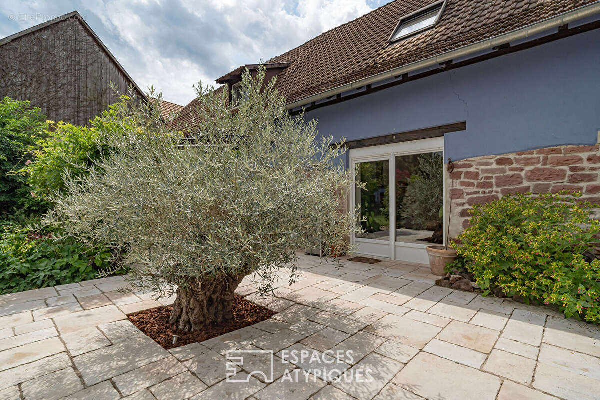 Maison à FRIESENHEIM