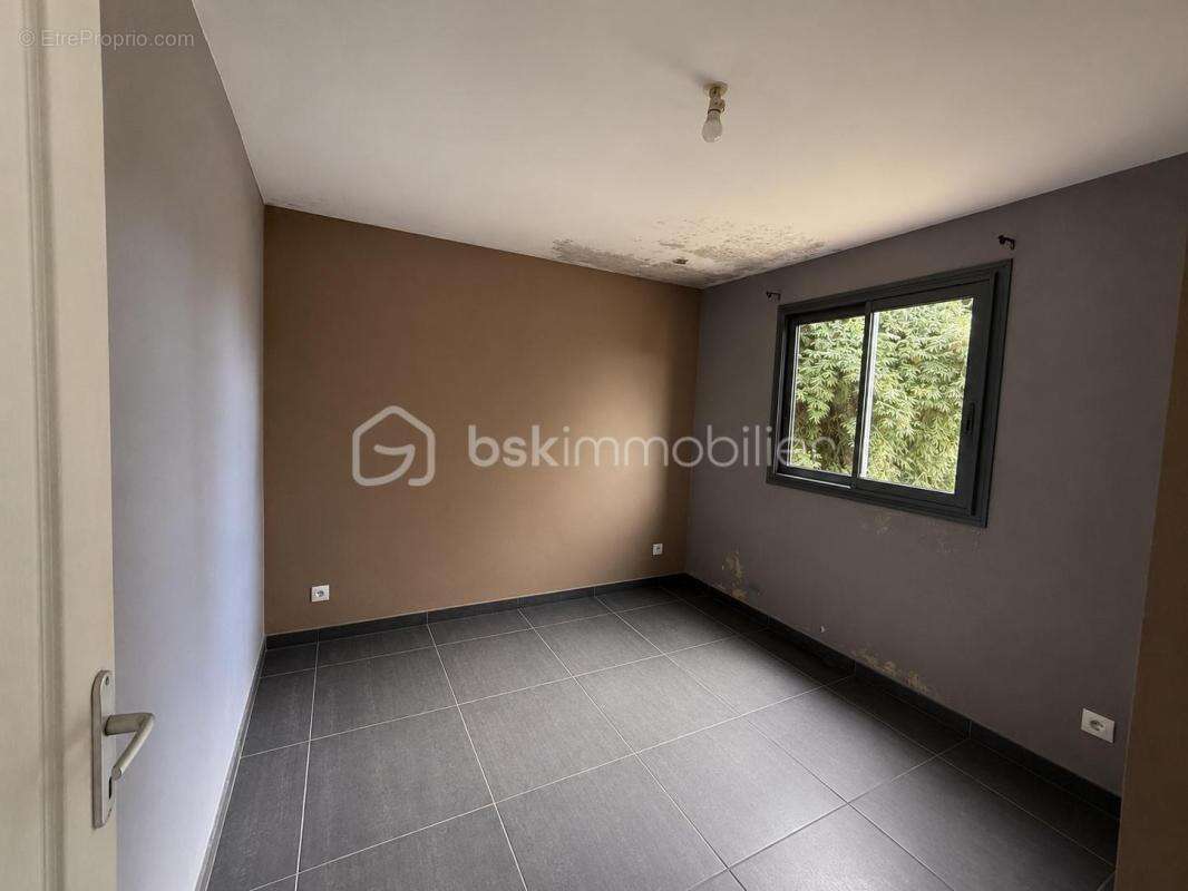 Une opportunité rare à la Plaine des Palmistes ! - photo 5