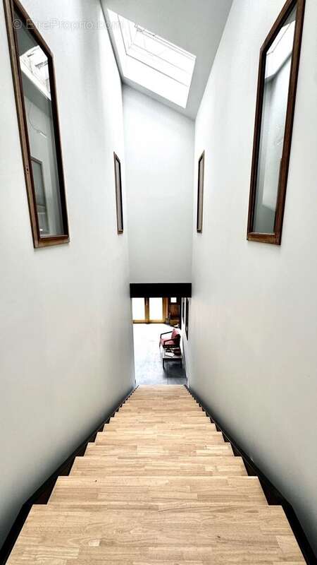 Sene - pibs - bureau 38 m² - photo 2