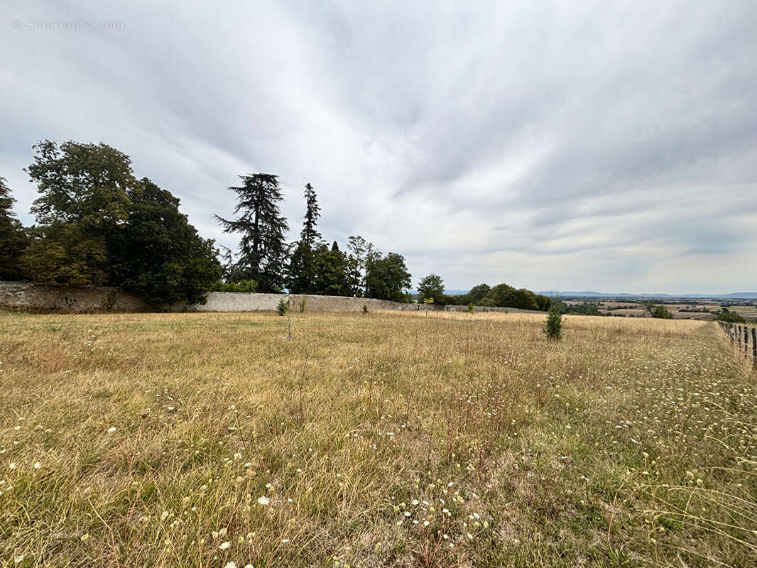 Terrain de plus de 7.300 m² - vue imprenable sur la Chaîne des Puys - photo 5