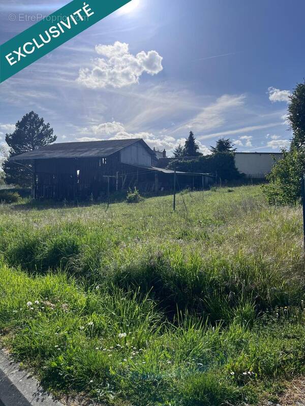 Photo 1 - Terrain à CHISSEAUX