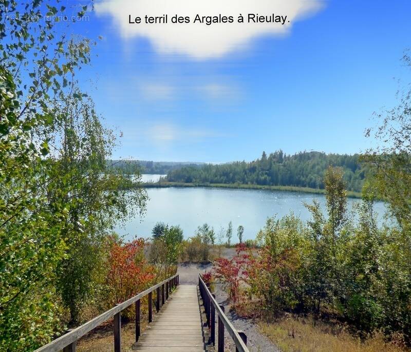 Terrain à RIEULAY