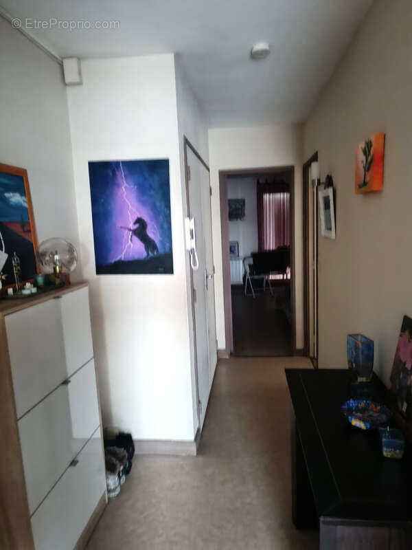 Appartement à VIERZON