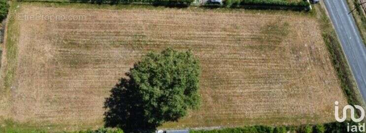 Photo 3 - Terrain à NEUILLY-LE-REAL