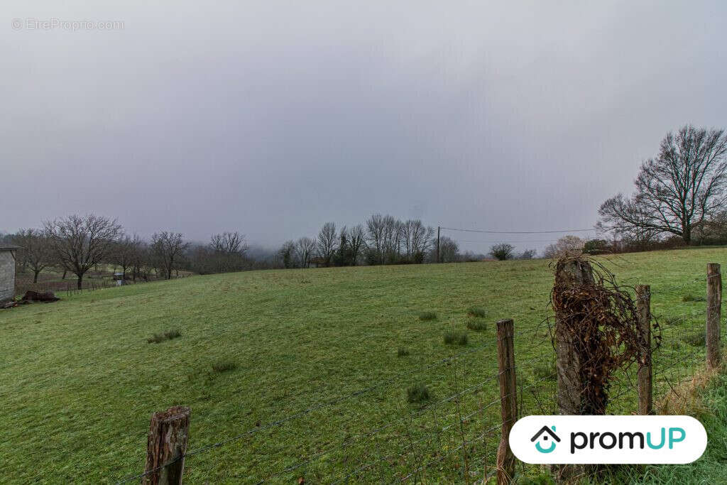 Terrain à THIVIERS